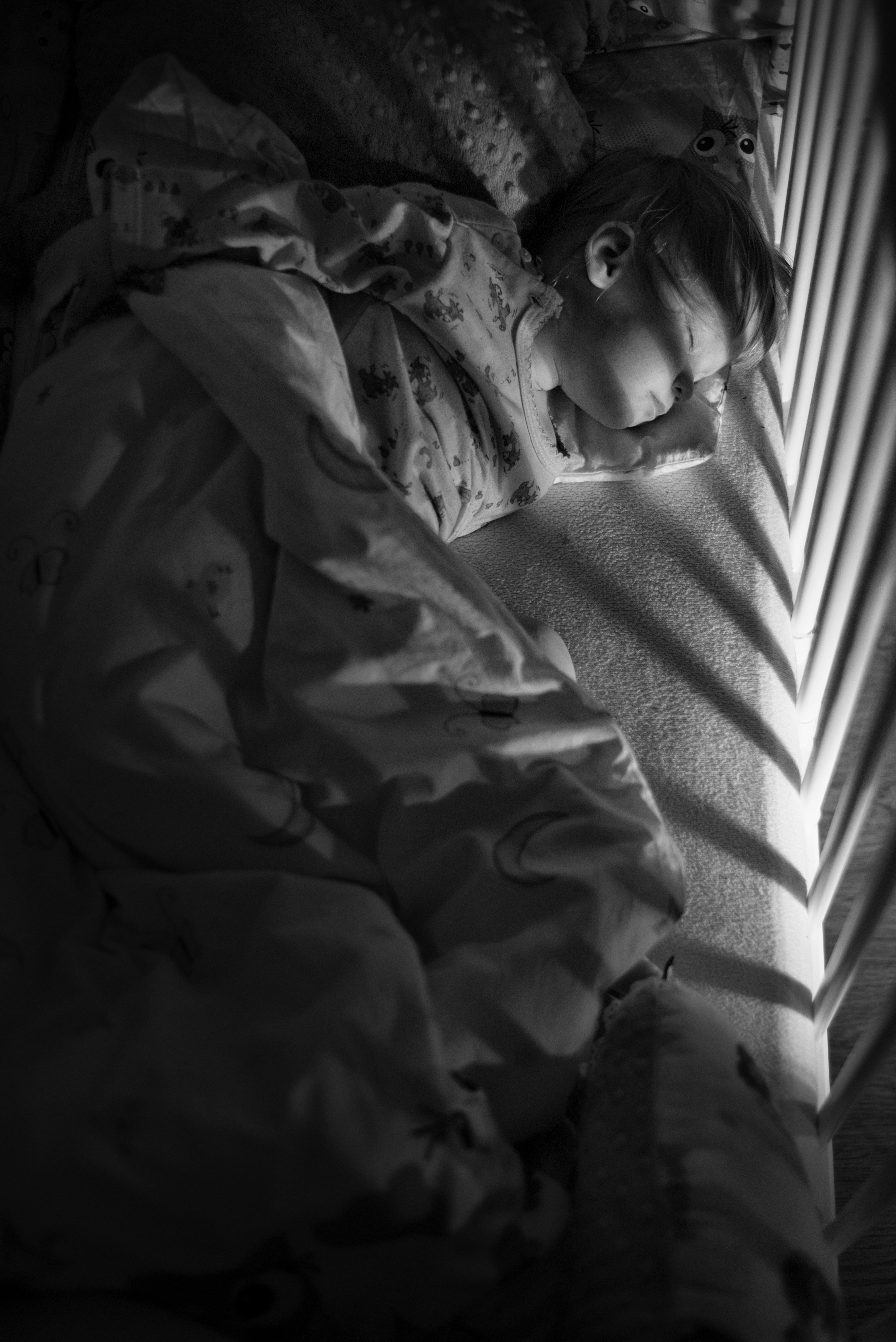 DSC_0973